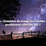 Question : Combien de temps les vaches laitières produisent-elles du lait ?